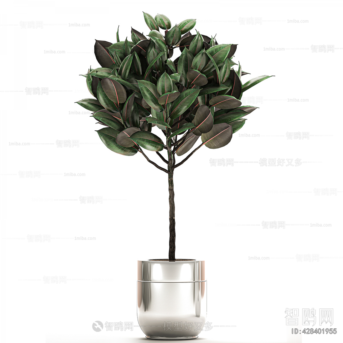 Modern Ground Green Plant Potted Plants