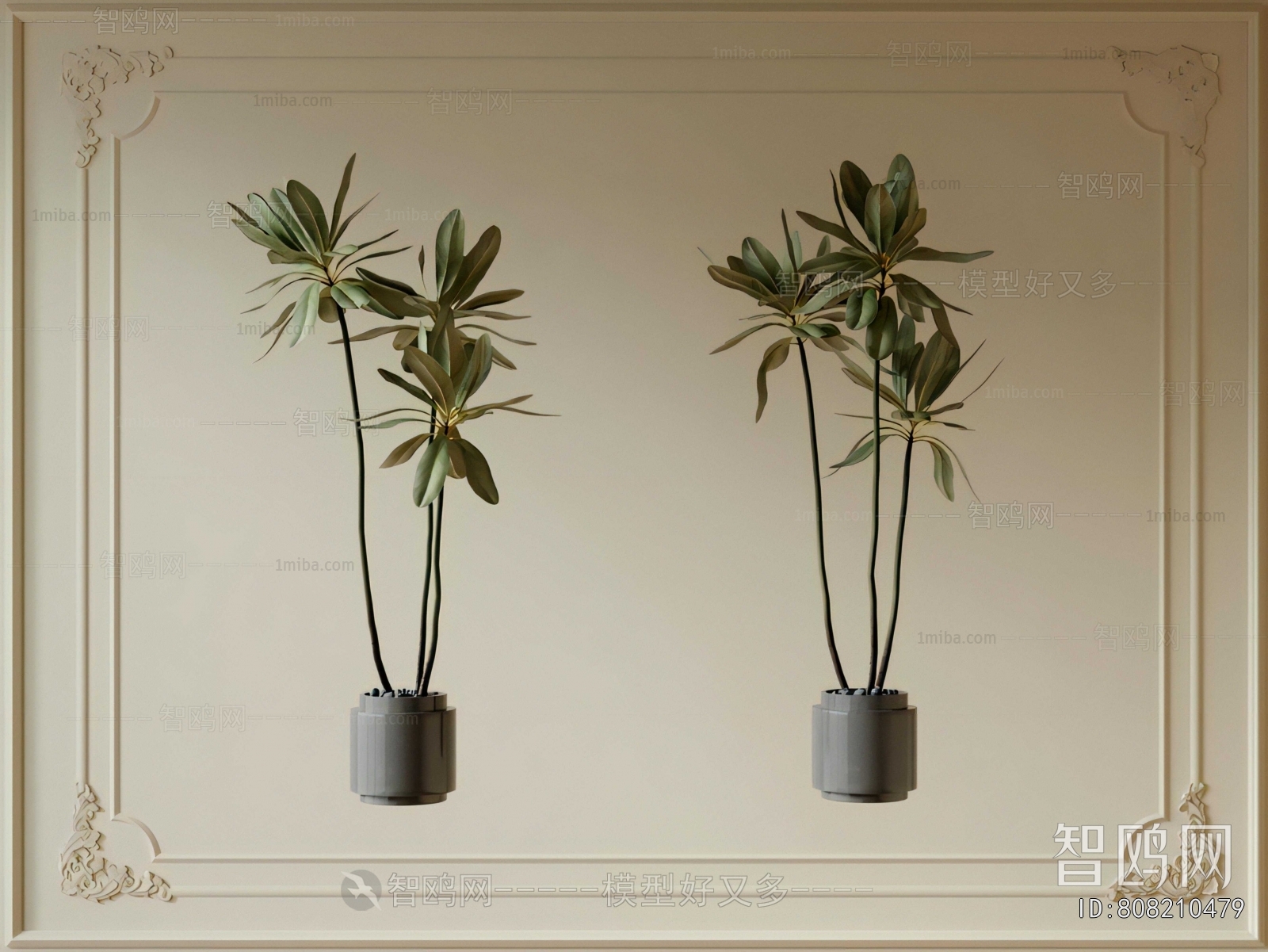 Modern Ground Green Plant Potted Plants