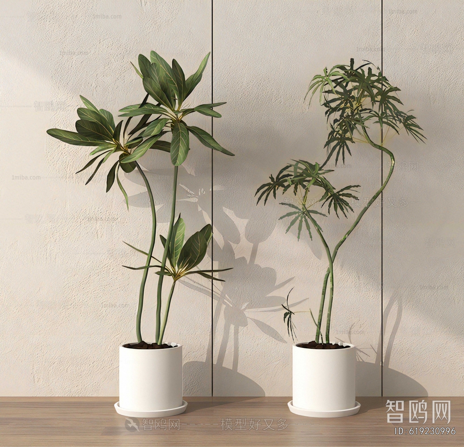 Modern Ground Green Plant Potted Plants