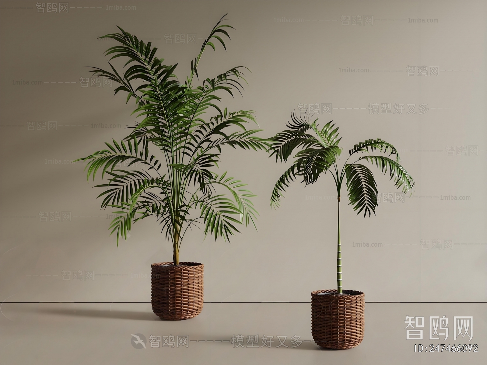 New Chinese Style Ground Green Plant Potted Plants