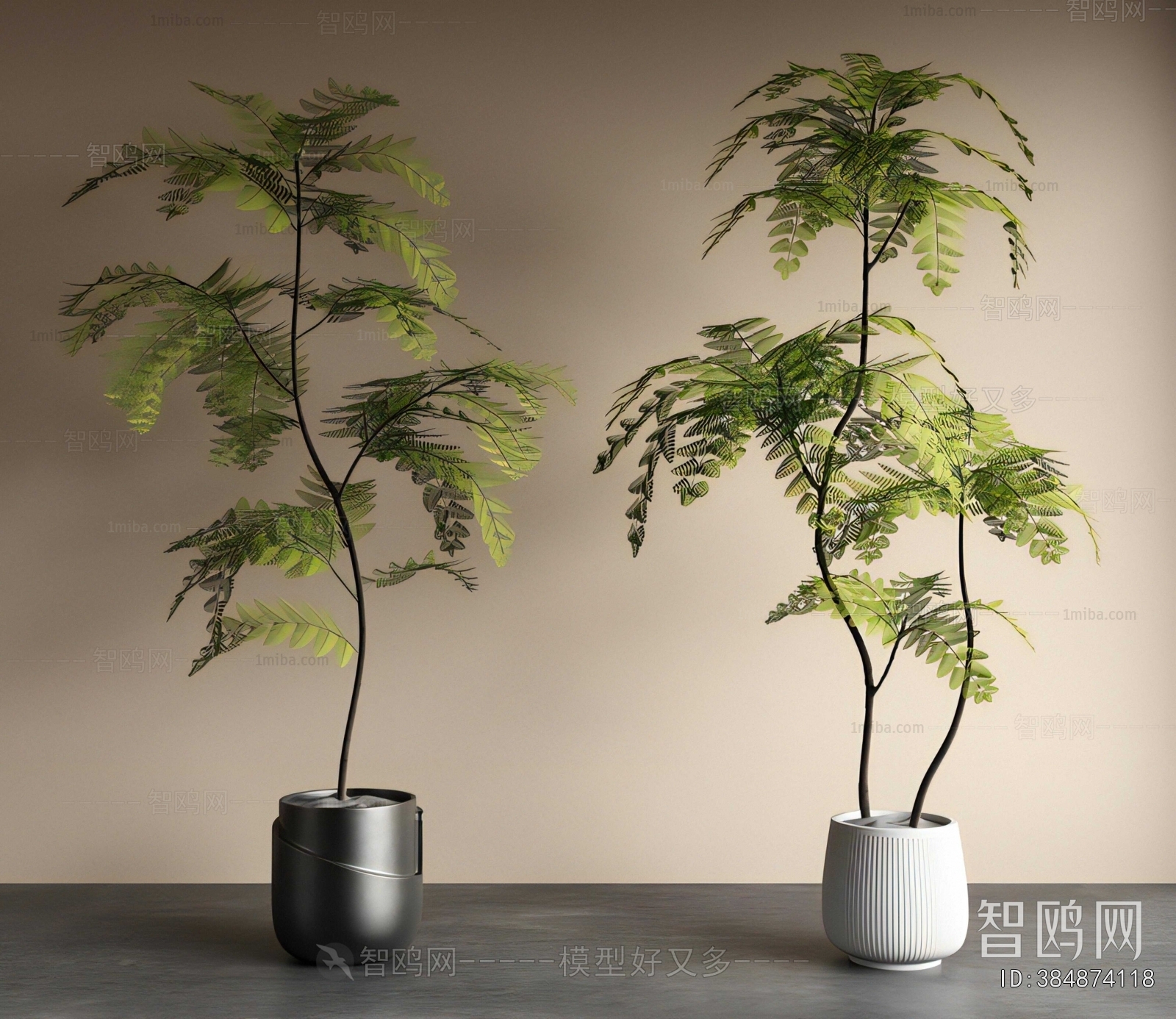 Modern Ground Green Plant Potted Plants