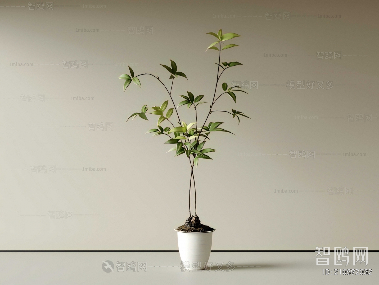 Modern Ground Green Plant Potted Plants