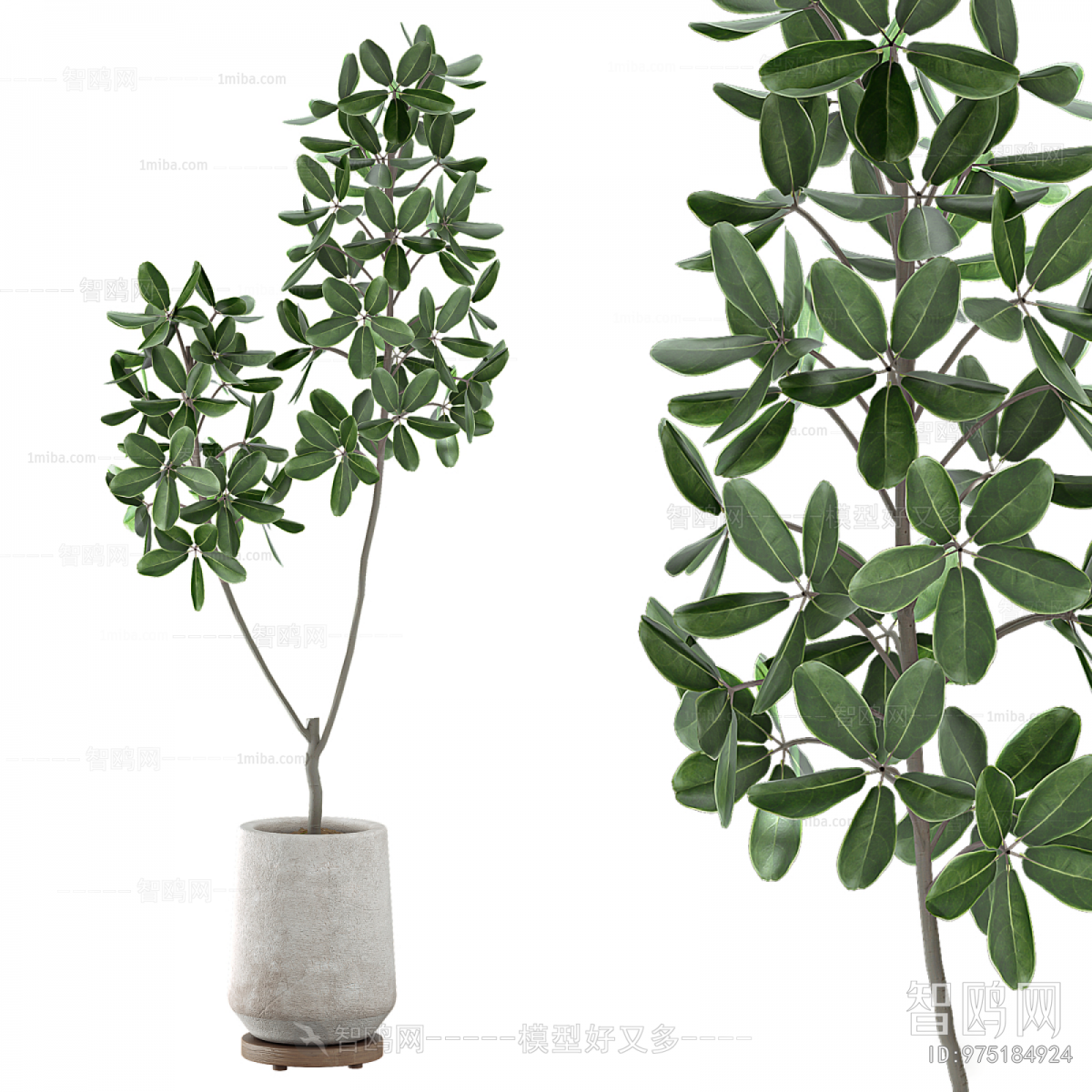 Modern Ground Green Plant Potted Plants