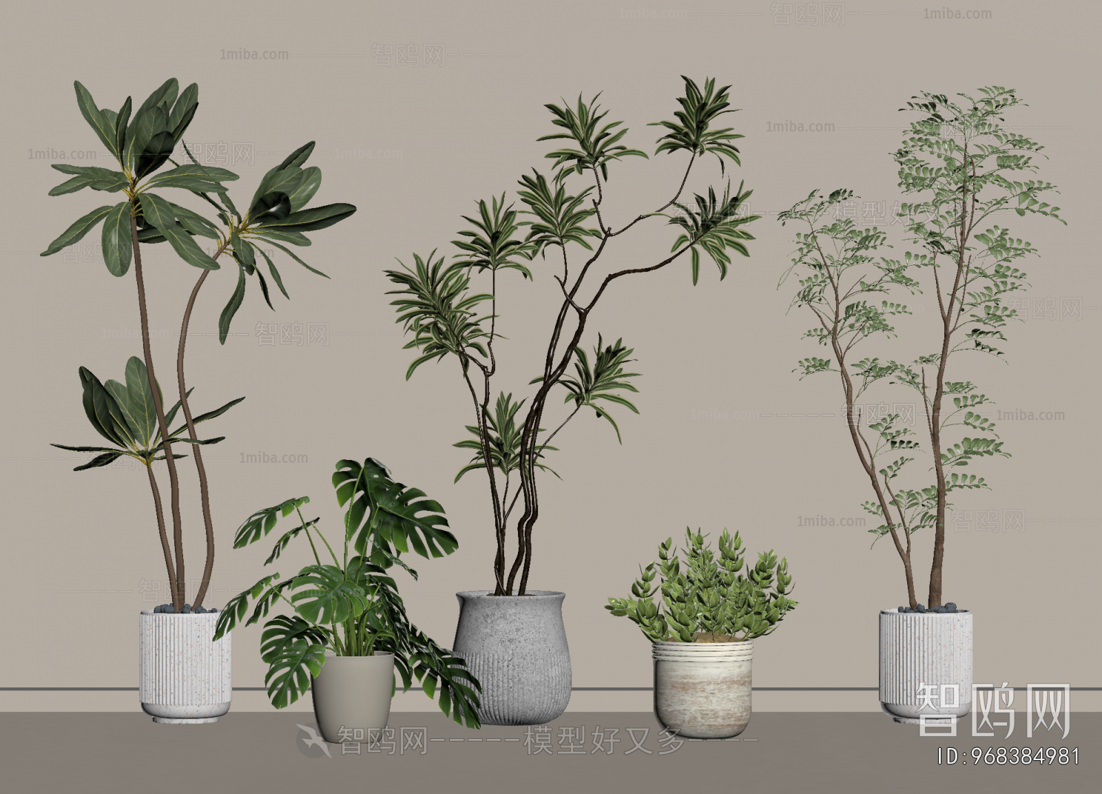 Modern Ground Green Plant Potted Plants