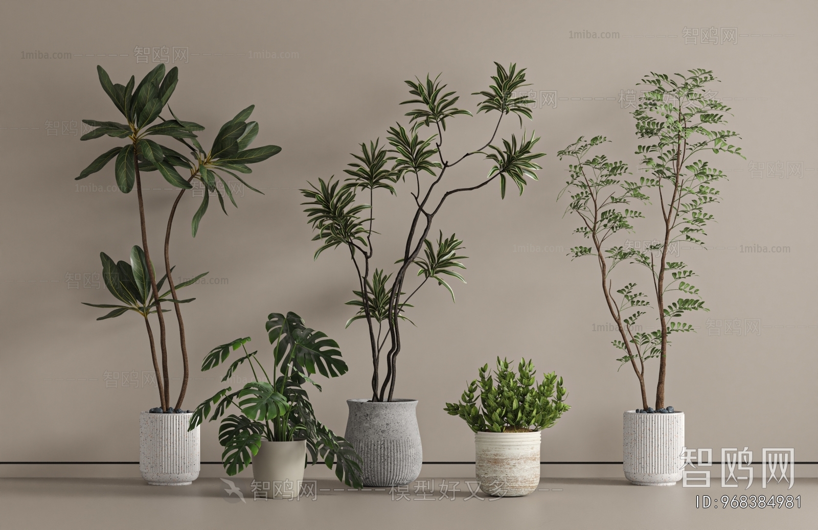 Modern Ground Green Plant Potted Plants