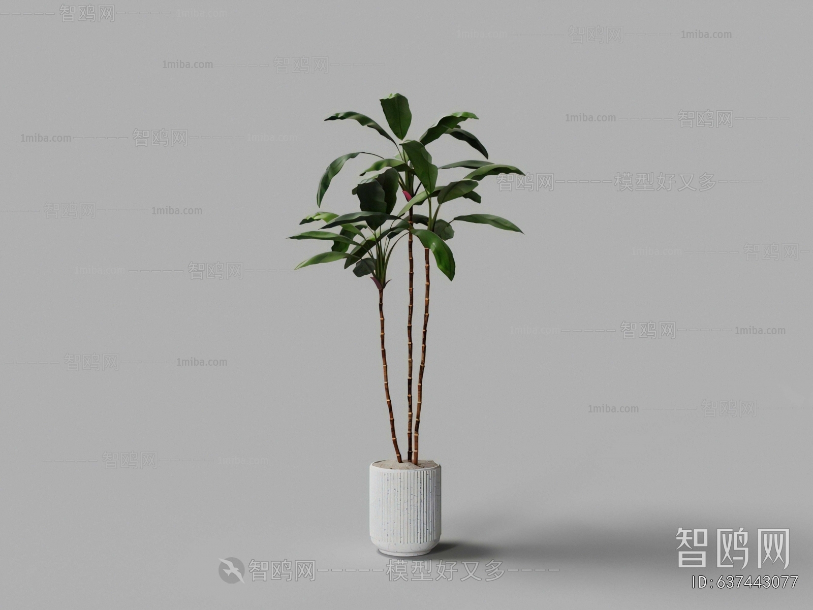 Modern Ground Green Plant Potted Plants