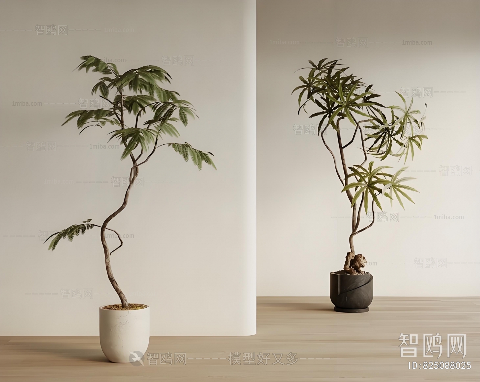 New Chinese Style Ground Green Plant Potted Plants