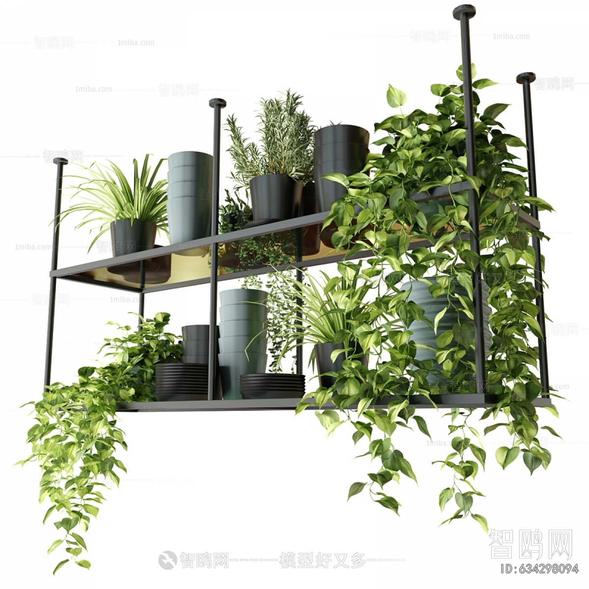 Modern Potted Green Plant