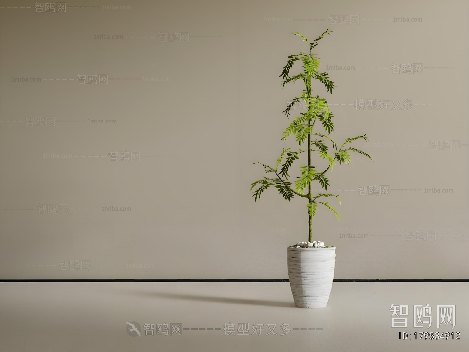 Modern Ground Green Plant Potted Plants