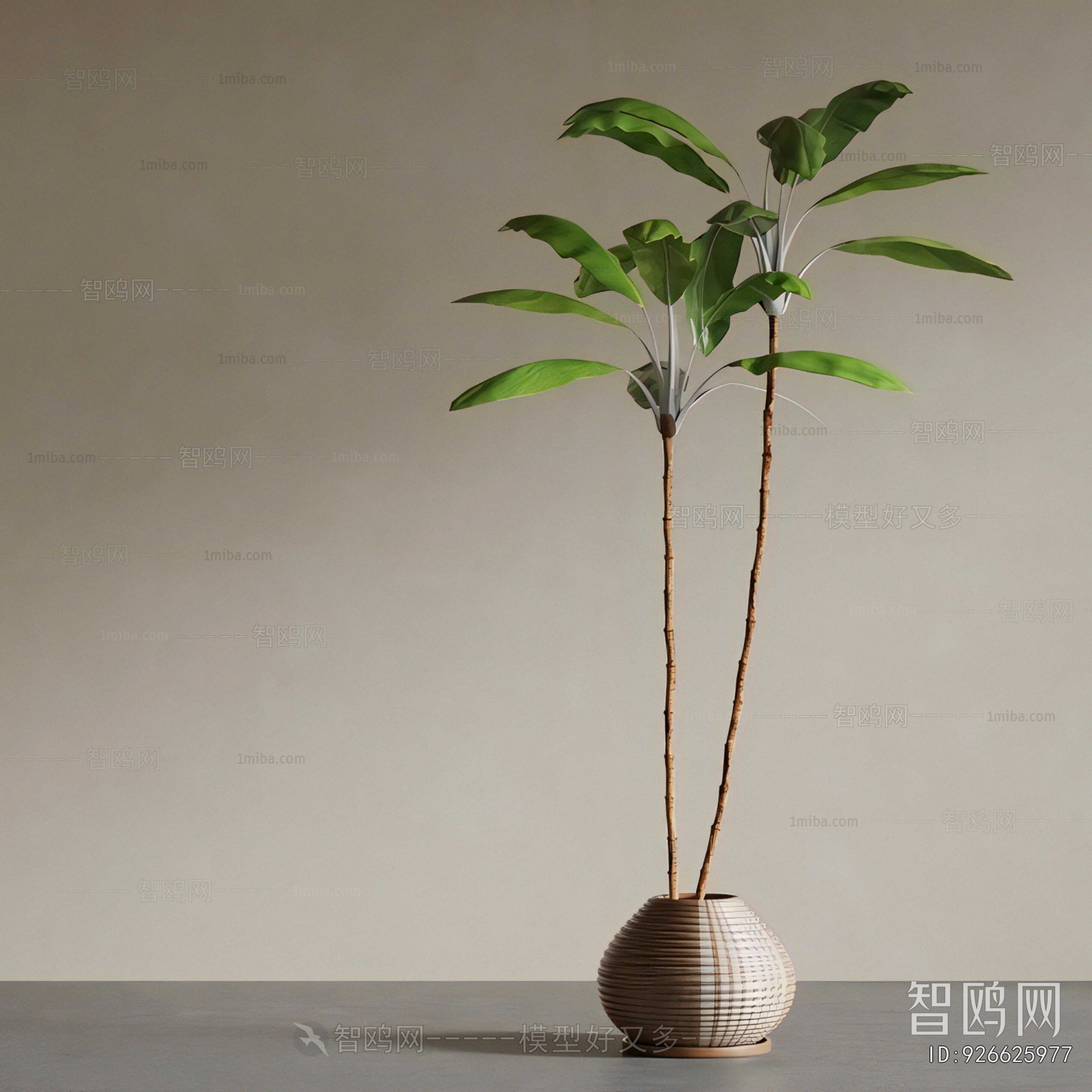 Modern Ground Green Plant Potted Plants