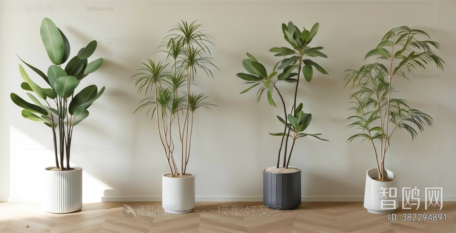 Modern Ground Green Plant Potted Plants