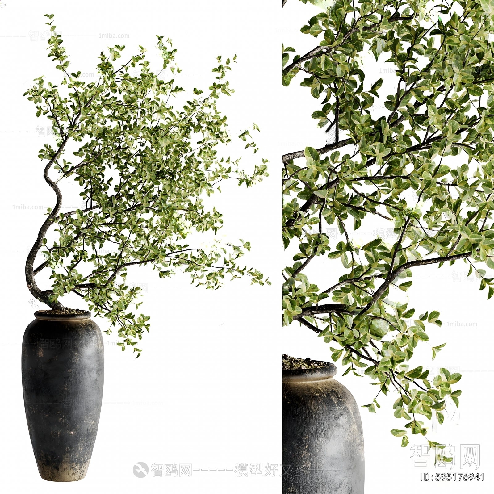 Wabi-sabi Style Ground Green Plant Potted Plants