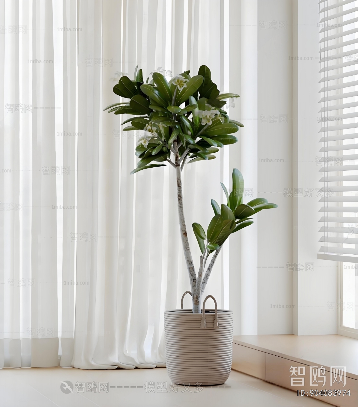 Modern Ground Green Plant Potted Plants