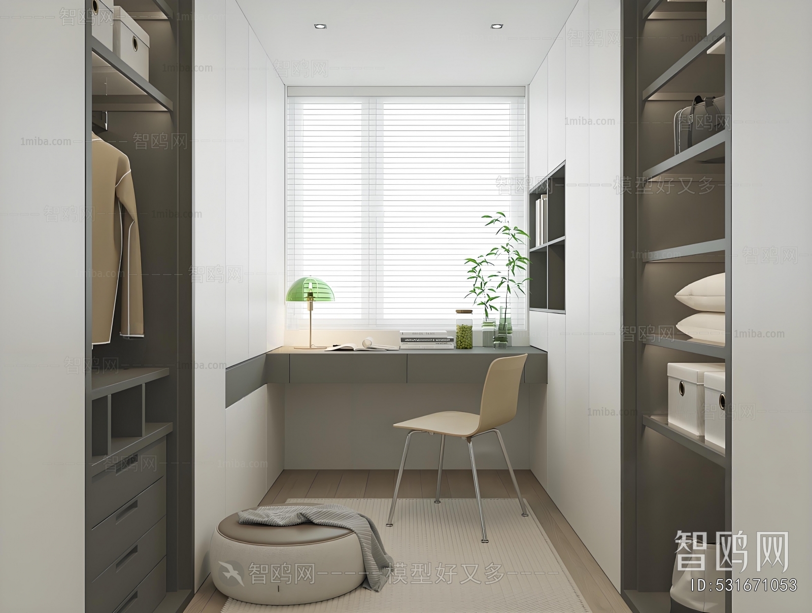 Modern Clothes Storage Area