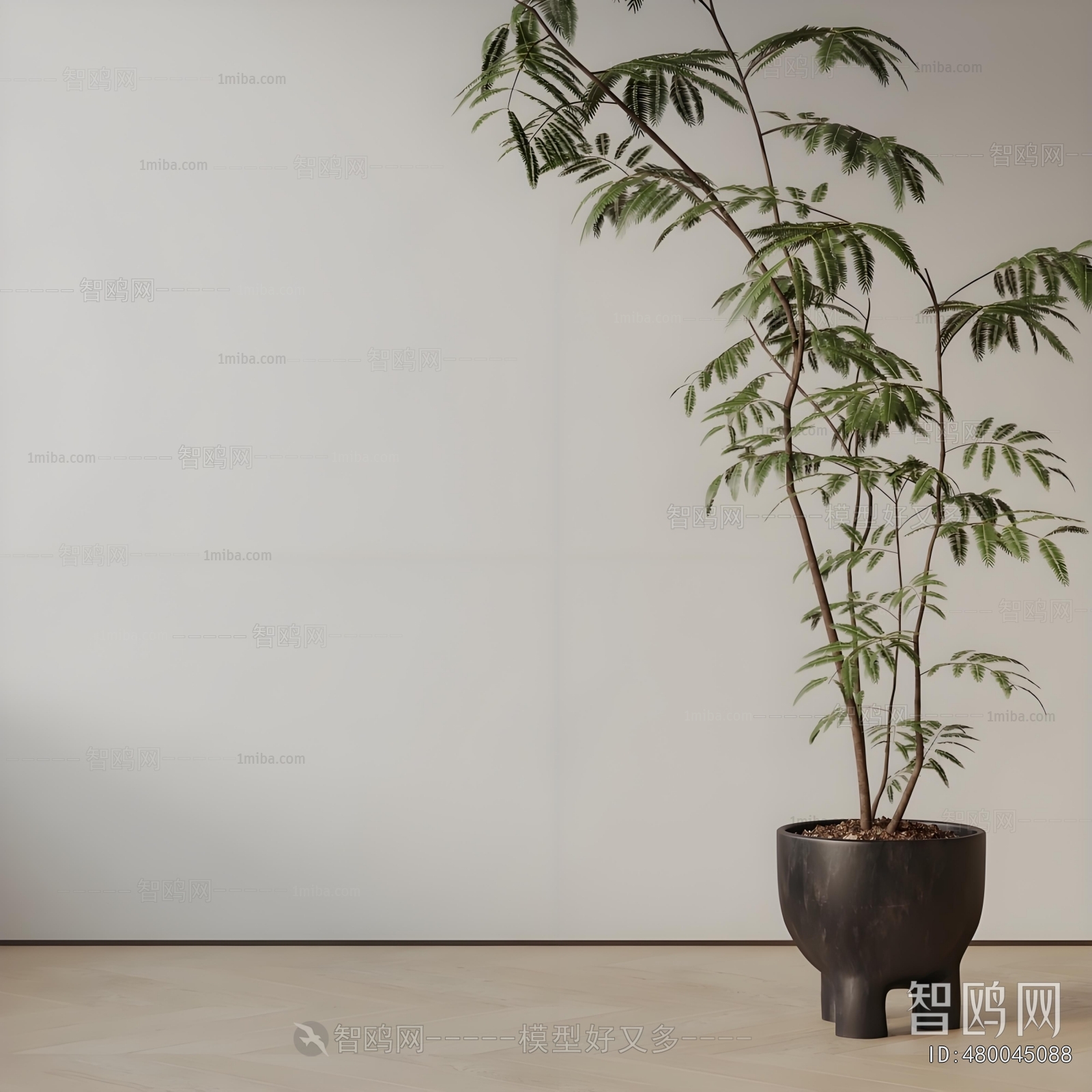 New Chinese Style Ground Green Plant Potted Plants