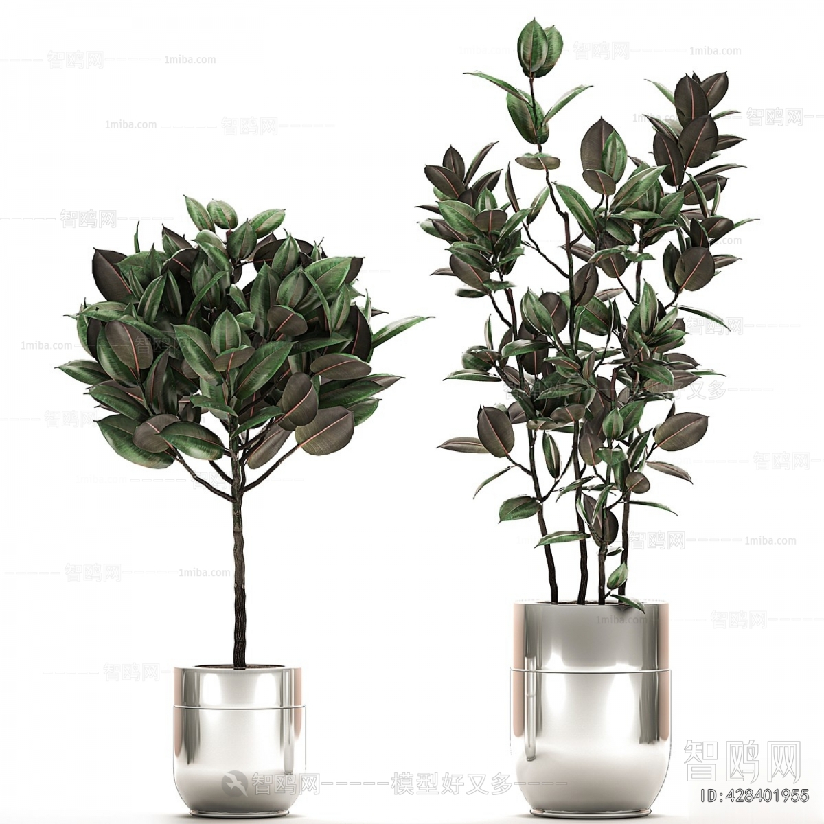 Modern Ground Green Plant Potted Plants