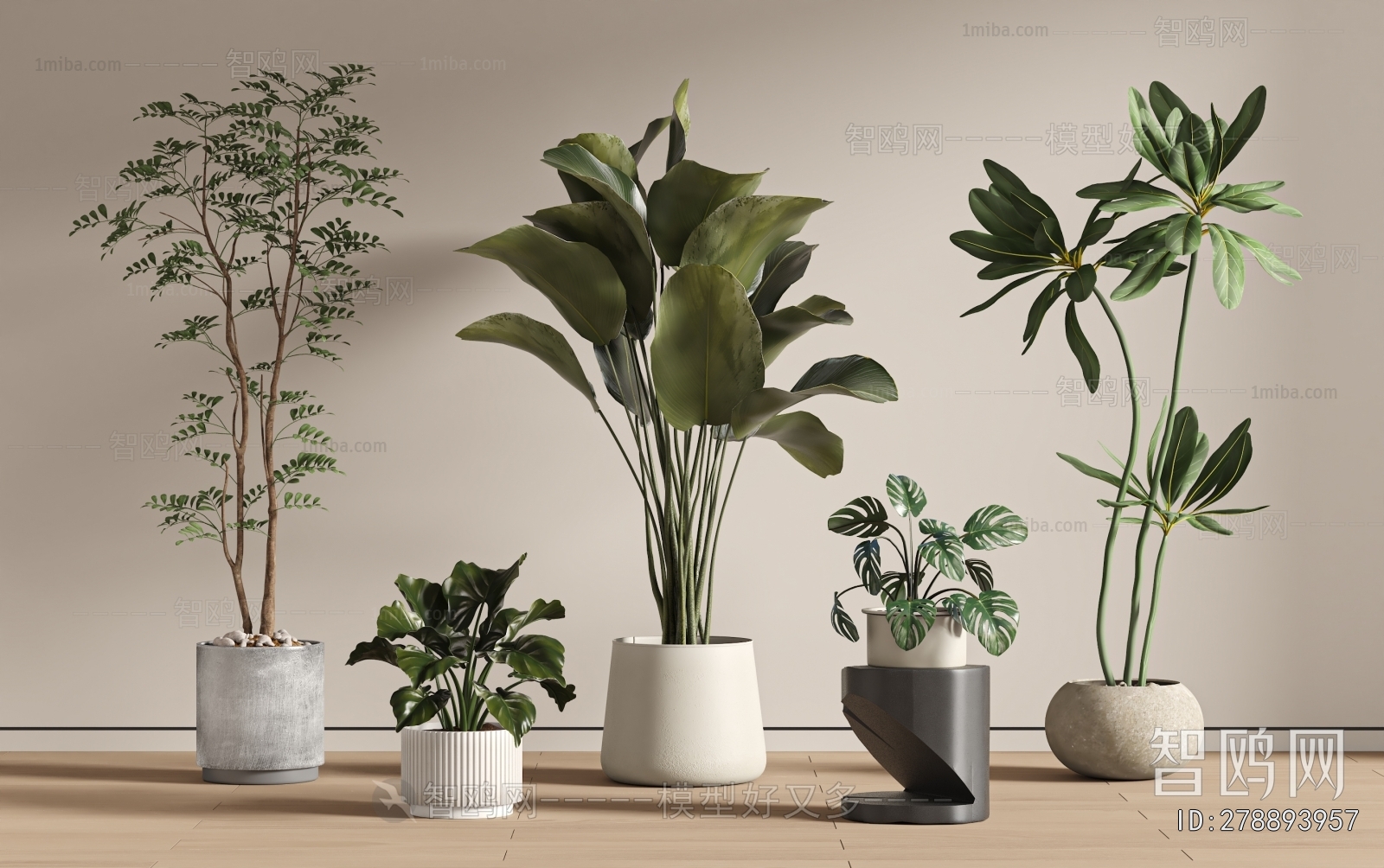 Modern Ground Green Plant Potted Plants