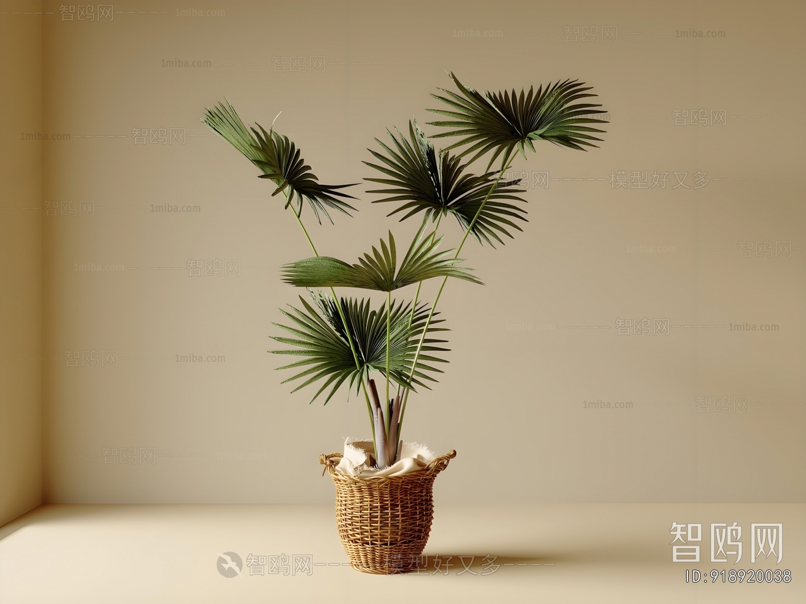 Modern Ground Green Plant Potted Plants