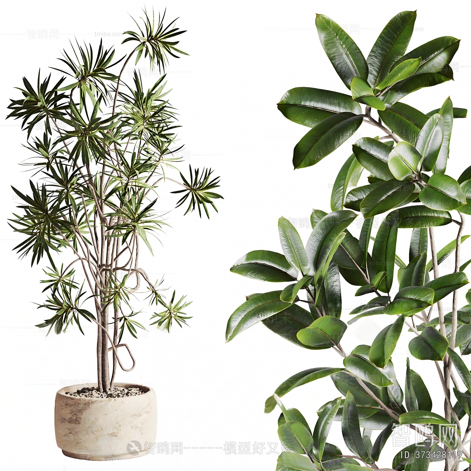 Modern Ground Green Plant Potted Plants