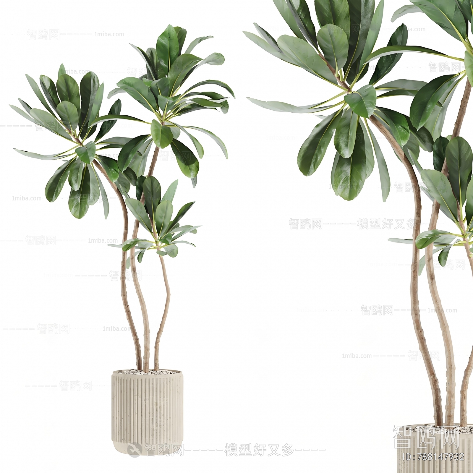 Modern Ground Green Plant Potted Plants