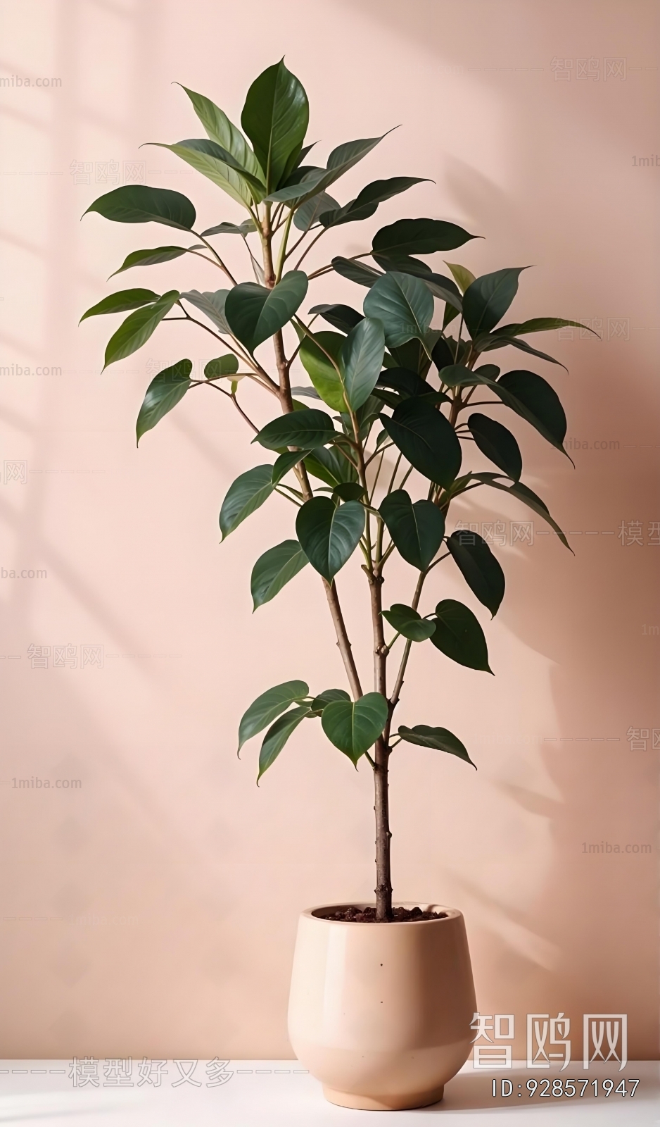 Modern Ground Green Plant Potted Plants