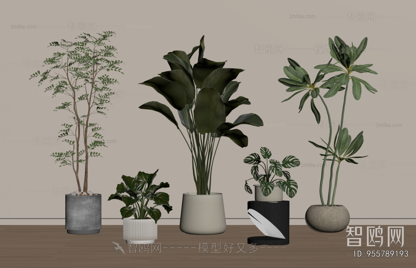 Modern Ground Green Plant Potted Plants