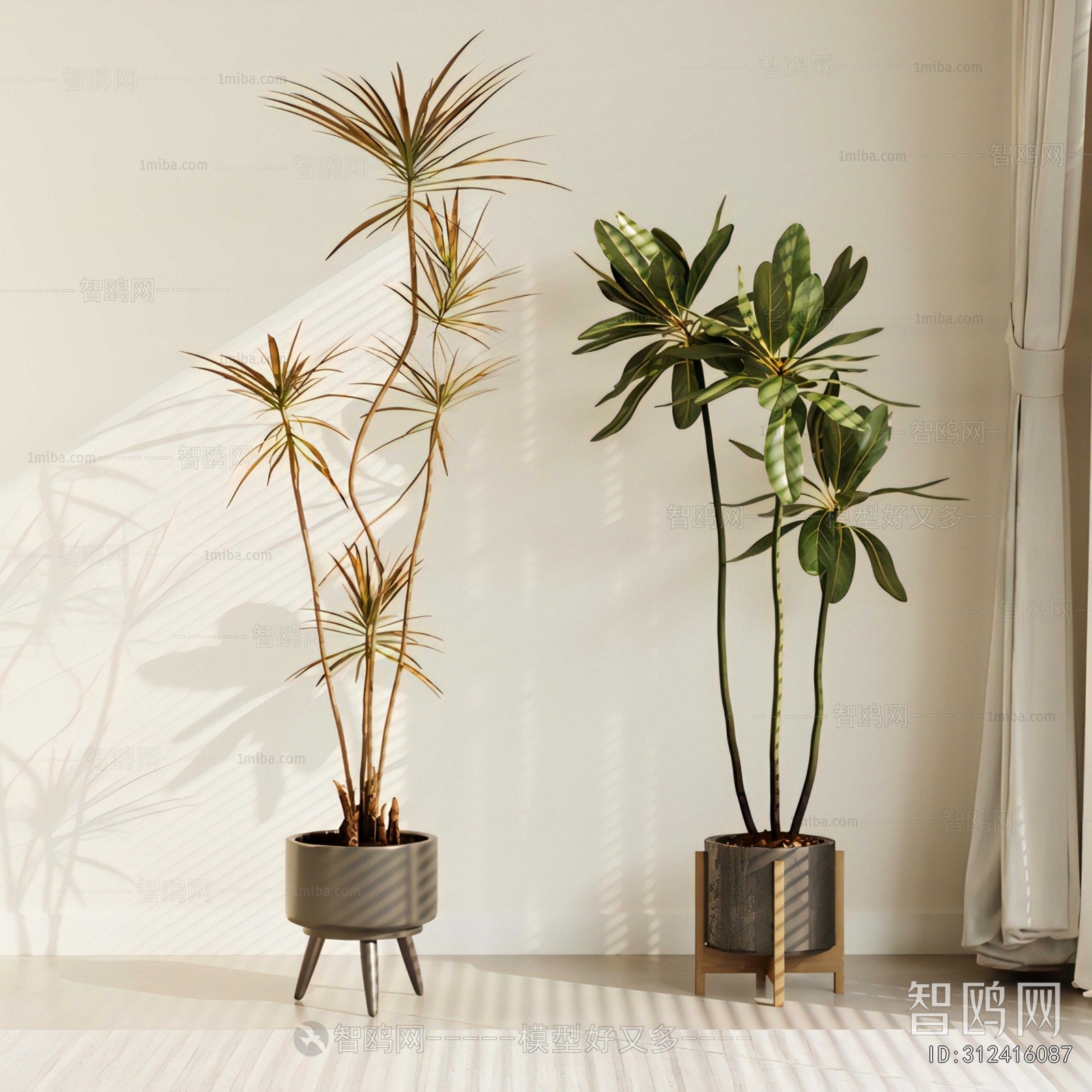Modern Ground Green Plant Potted Plants