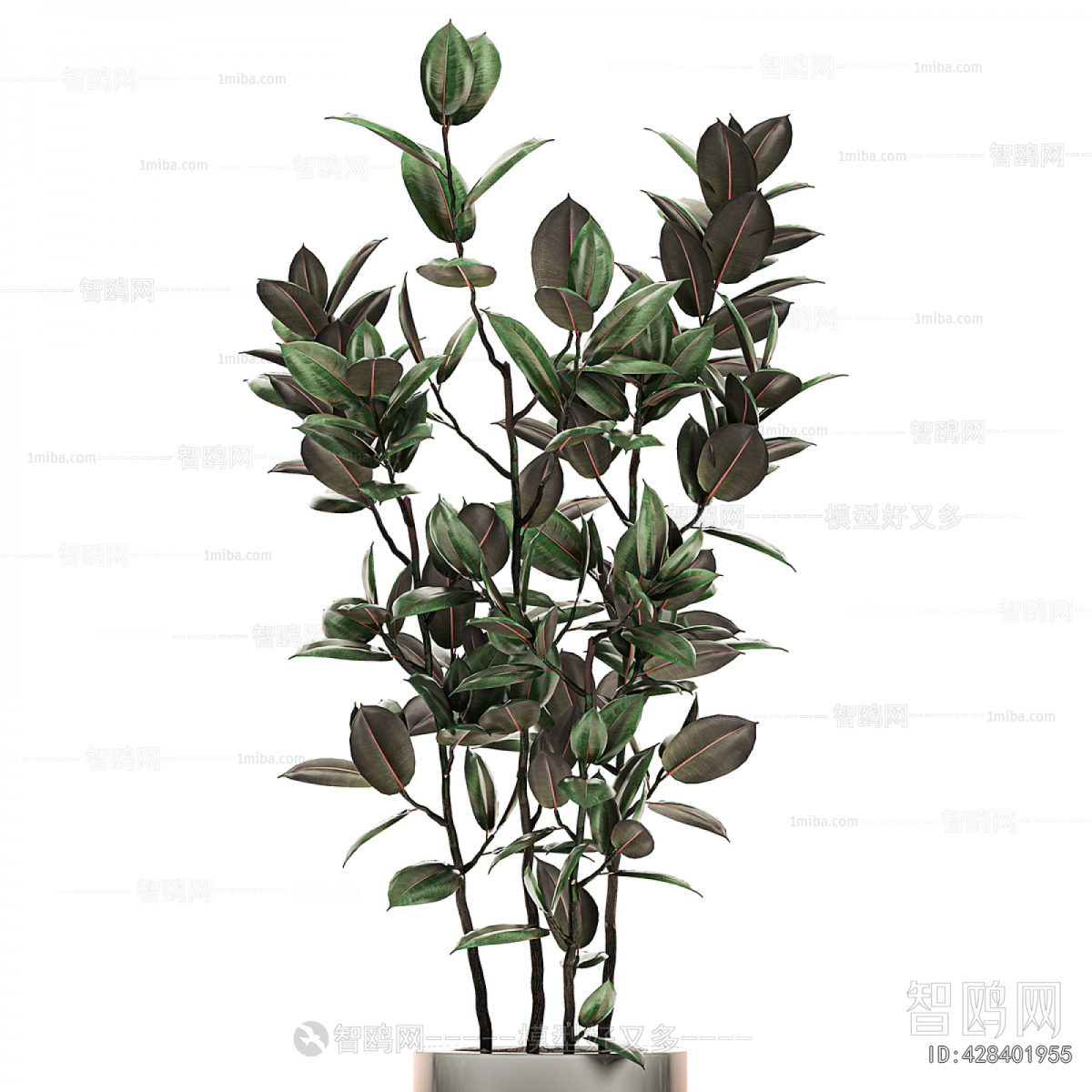 Modern Ground Green Plant Potted Plants