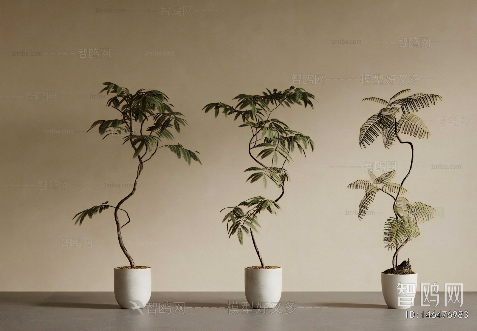 Modern Ground Green Plant Potted Plants