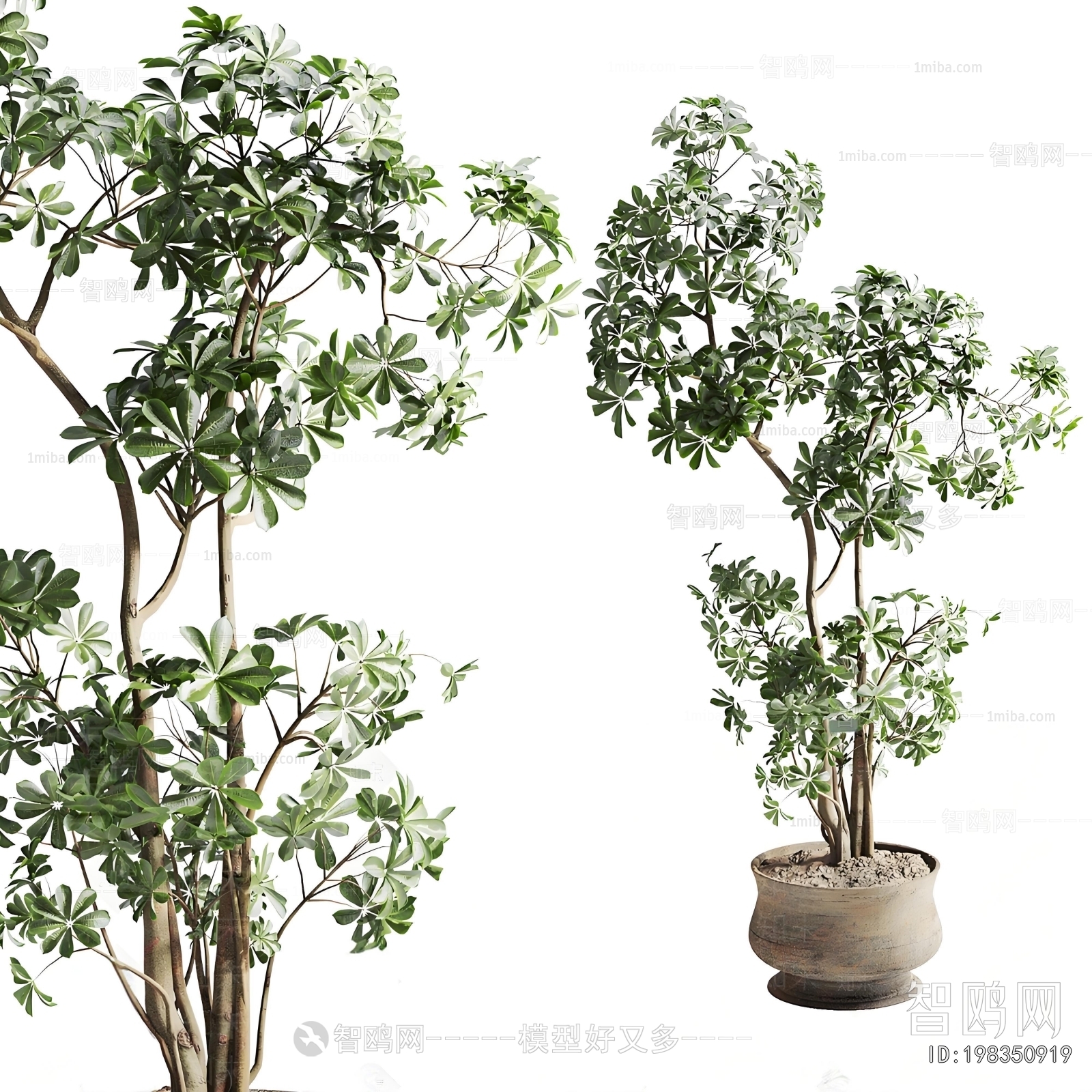 New Chinese Style Ground Green Plant Potted Plants