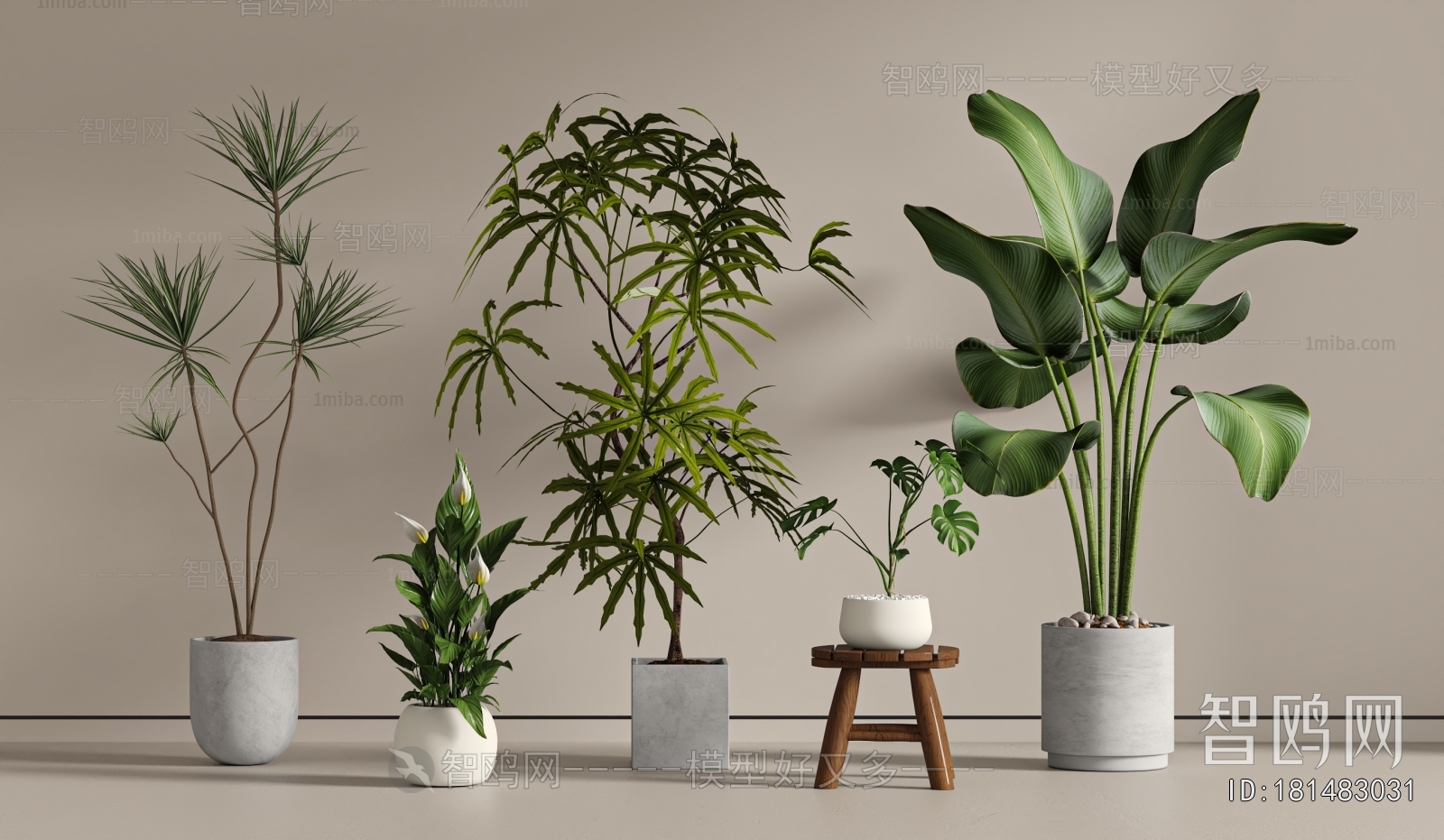 Modern Ground Green Plant Potted Plants