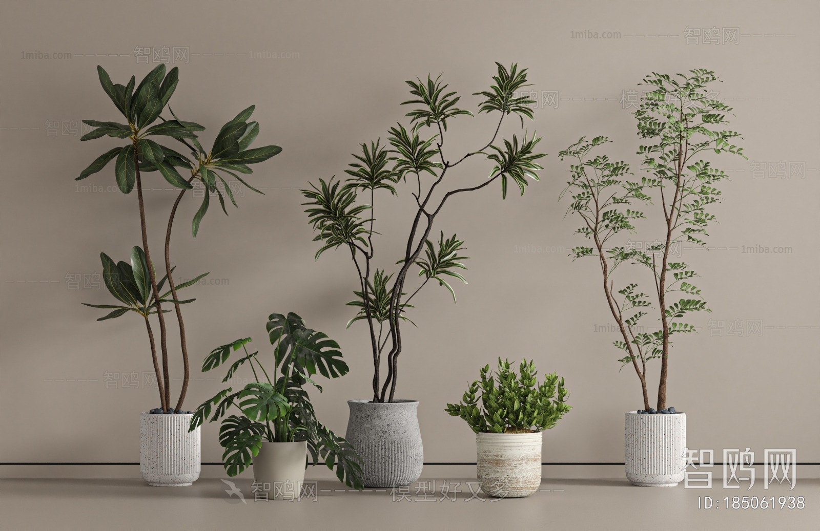 Modern Ground Green Plant Potted Plants