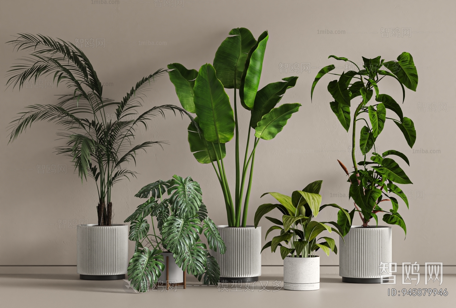 Modern Ground Green Plant Potted Plants