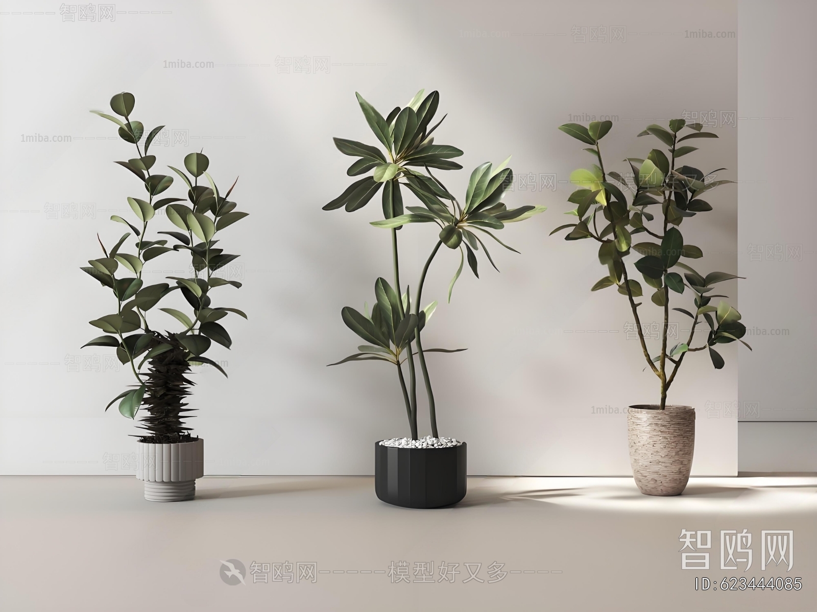 Modern Ground Green Plant Potted Plants