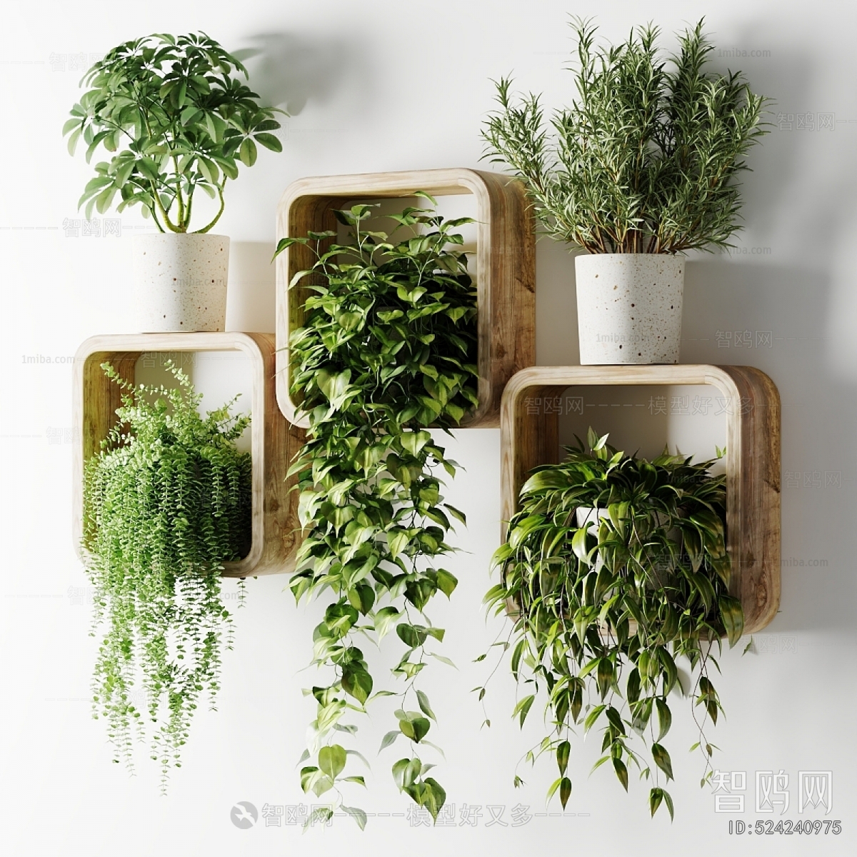 Modern Potted Green Plant