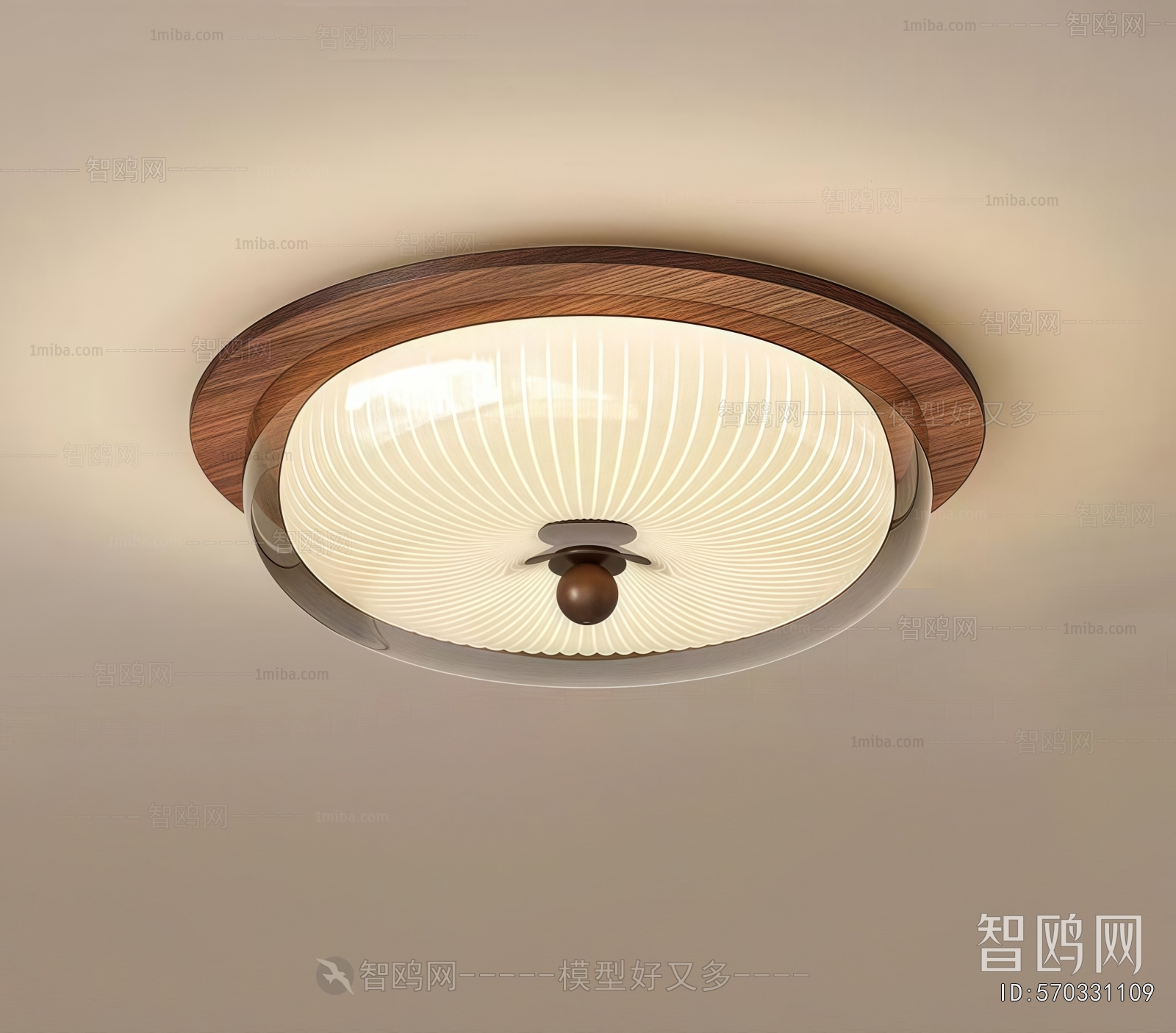 Modern Ceiling Ceiling Lamp