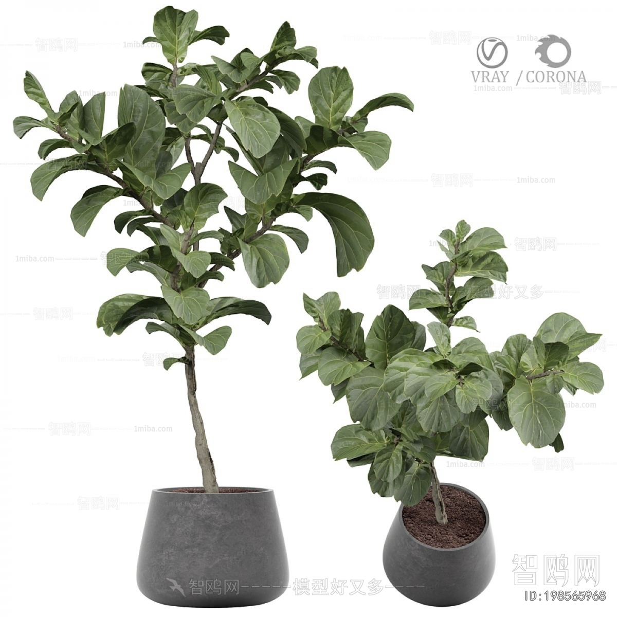 Modern Ground Green Plant Potted Plants