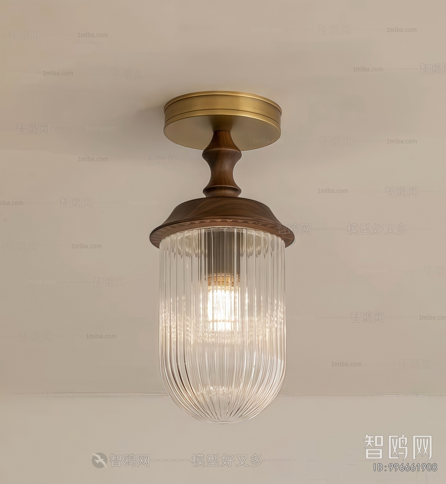 Modern Ceiling Ceiling Lamp