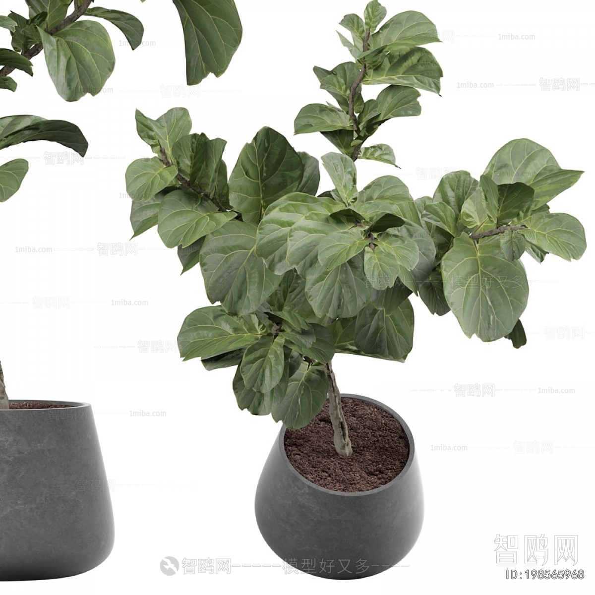 Modern Ground Green Plant Potted Plants