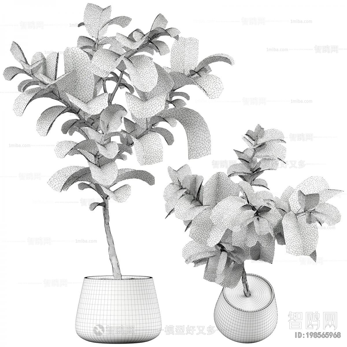 Modern Ground Green Plant Potted Plants