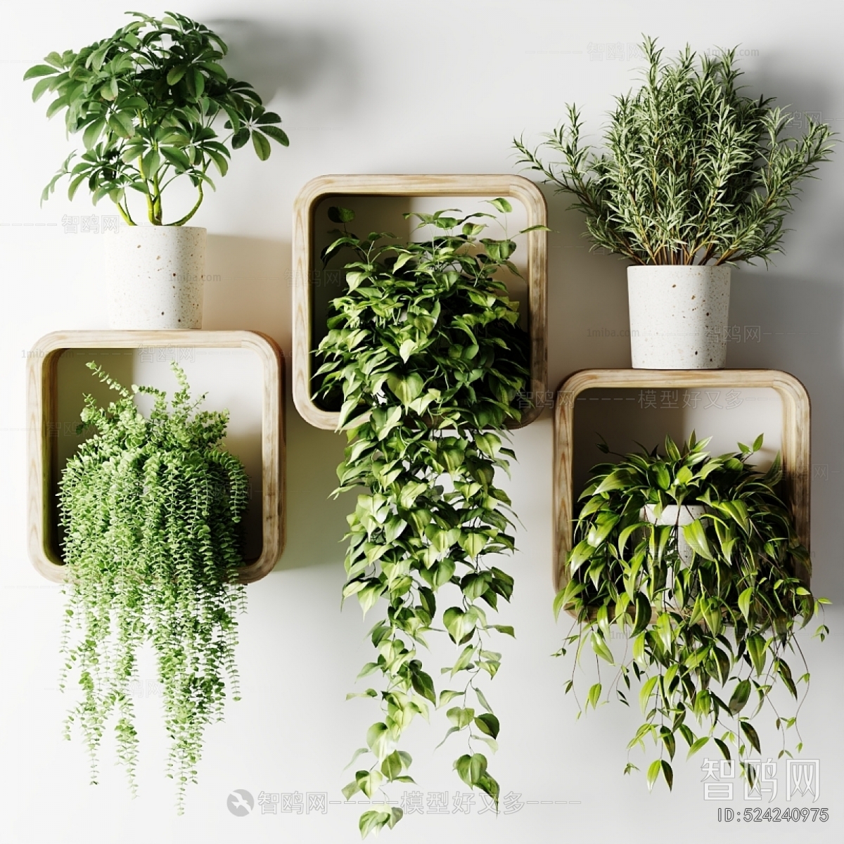 Modern Potted Green Plant