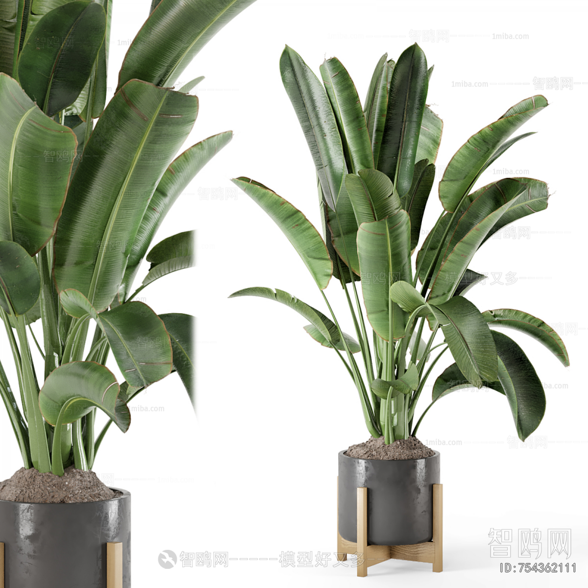 Modern Ground Green Plant Potted Plants
