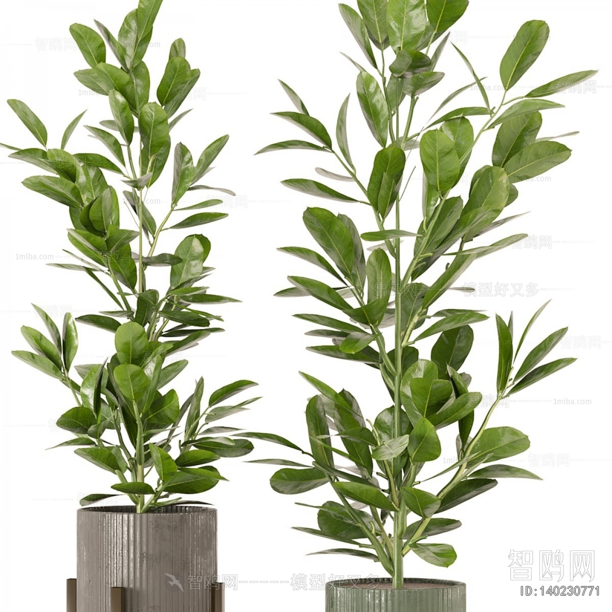 Modern Ground Green Plant Potted Plants