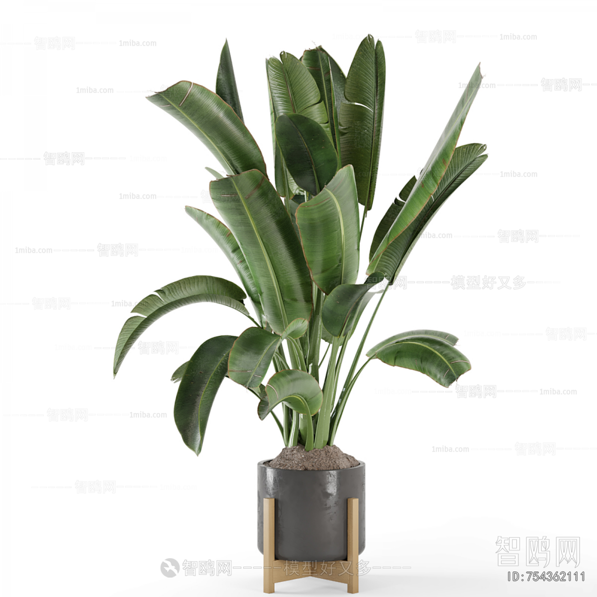 Modern Ground Green Plant Potted Plants