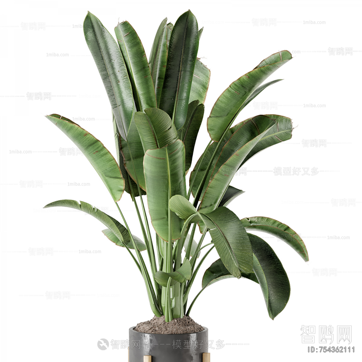 Modern Ground Green Plant Potted Plants