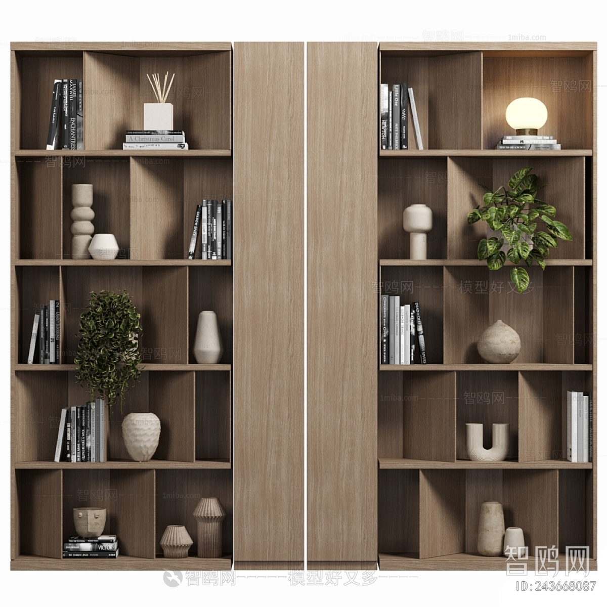 Modern Bookcase