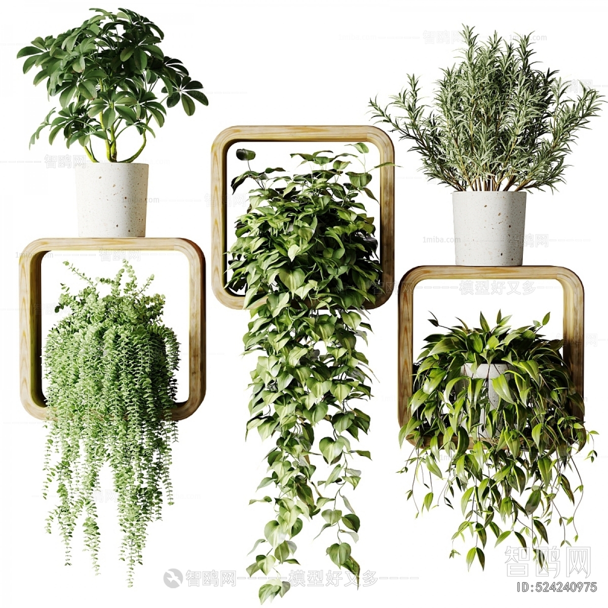 Modern Potted Green Plant