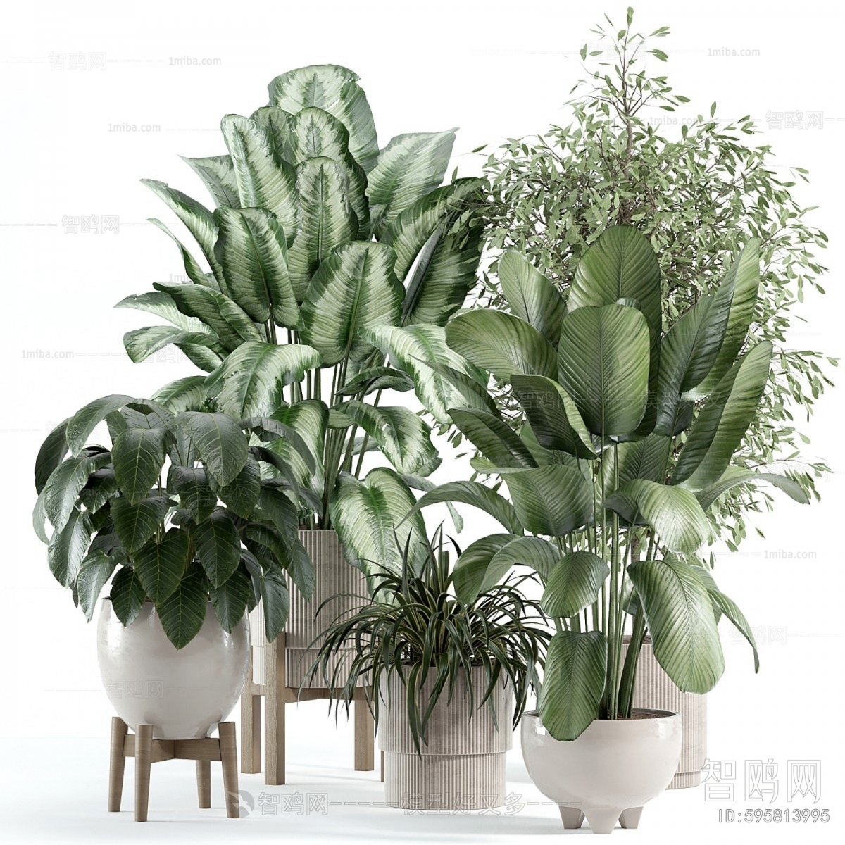 Modern Ground Green Plant Potted Plants
