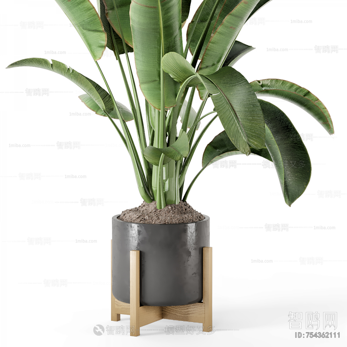 Modern Ground Green Plant Potted Plants