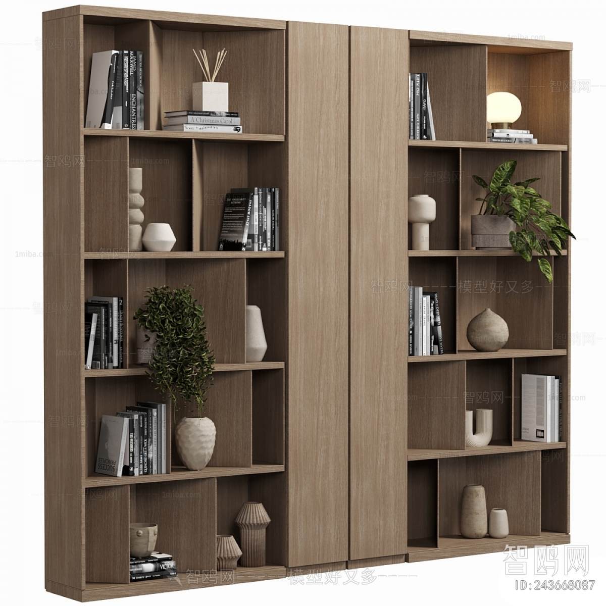 Modern Bookcase